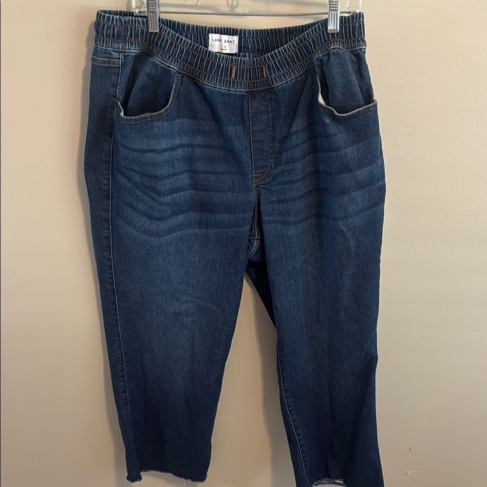 Lane Bryant Pull On Jeans 16 Mid Rise Relaxed Straight Blue Denim Raw Cut Frayed